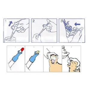 Feeding Kit For Pets - Green