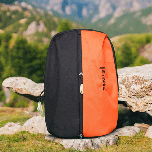 Stripelnc Exclusive Travel Backpack - Black & Orange