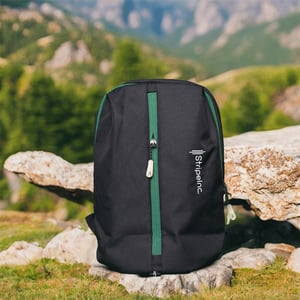 Stripelnc Exclusive Travel Backpack - Black With Green Border