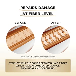 Pantene Miracles Bond Repair Mutenka & Gentle Repair Shampoo 440ml  •