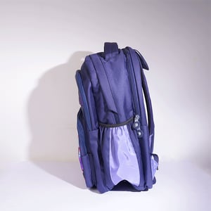 Stripelnc Exclusive School Backpack - Colourful Feather