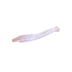Collection Glam Crystals Metallic Liquid Liner 4.5ml - Blue Skies 4