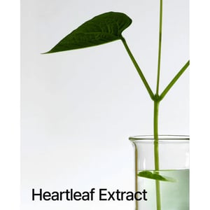 Anua Heartleaf 77% Soothing Toner 40ml •