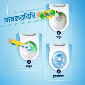 Domex Liquid Toilet Cleaner 750ml - Lime Fresh