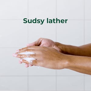 Irish Spring Moisturizing Face + Body Wash 591ml - Original Clean•