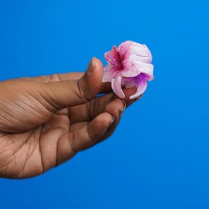 Glossy Plumeria Flower Shape Hair Clip - Pink