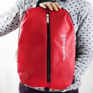 Stripelnc Mini Travel Backpack - Red