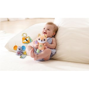 Vtech Baby Fox & Friends Gift Set (3036)