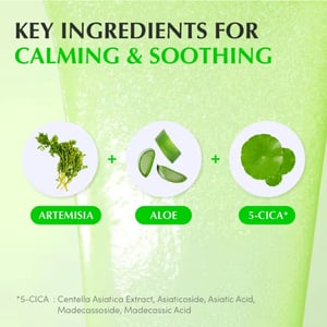 Eqqualberry Green Aid Aloe Pdrn Calming Serum 30ml  •