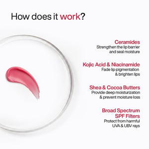 WishCare Ceramide Natural Lip Balm Tinted 5g - SPF50 pa+++   •