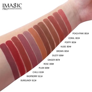 Imagic PROfessional Waterproof Matte Lipstick 4g - 812 Burgundy