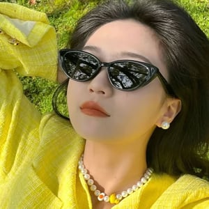 Triangular Retro Small Frame Cat Eye Sunglasses - Black (240034)