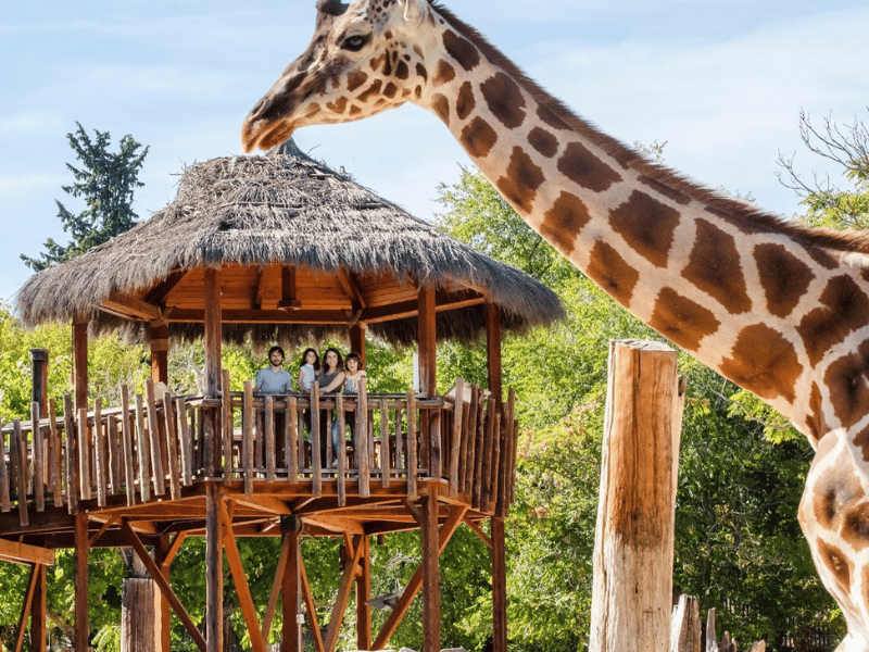 גן חיות והאקווריום של מדריד