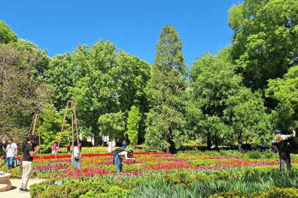 הגנים הבוטניים המלכותיים (CSIC)