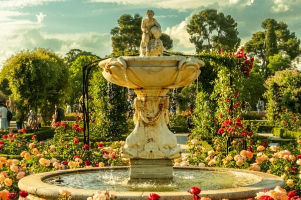 סגווי — גן הטווסים