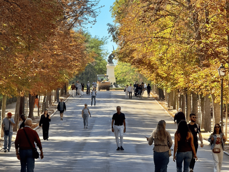 פארק בואן רטירו