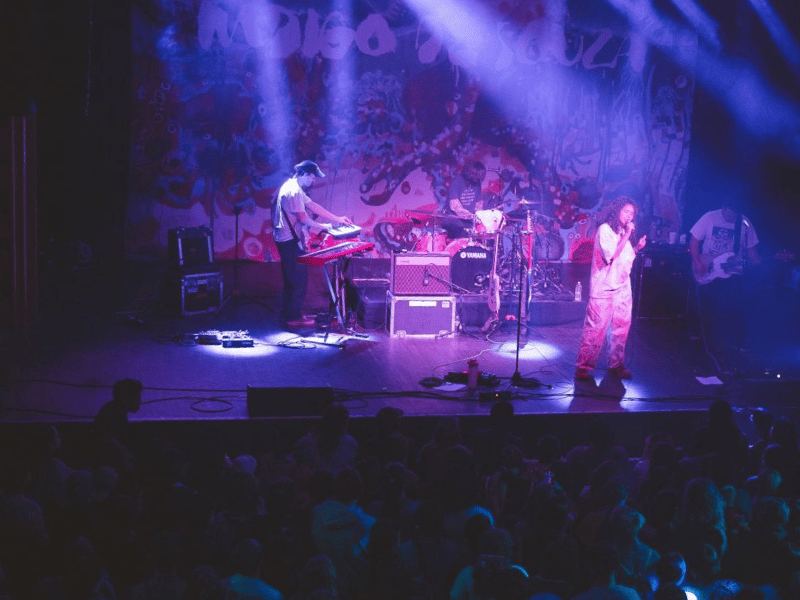 Webster Hall (The Venue)