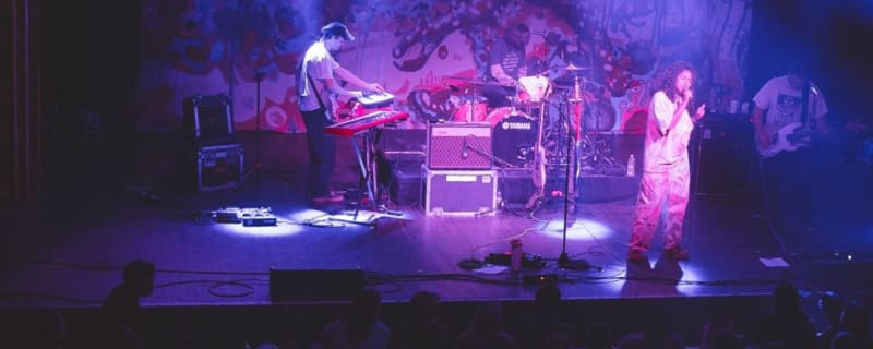 Webster Hall (The Venue)