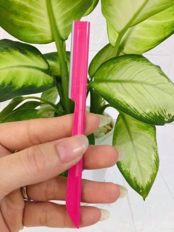 💜SÉT 5 DAO CẠO LÔNG MÀY KAI💜