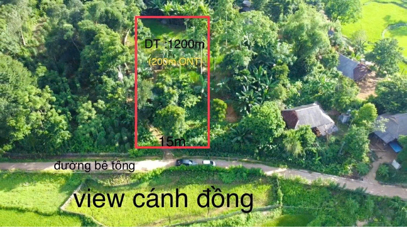 1500m2 có 300m2 ONT Tại xóm Ong Trung Hoà , Tân Lạc, HB