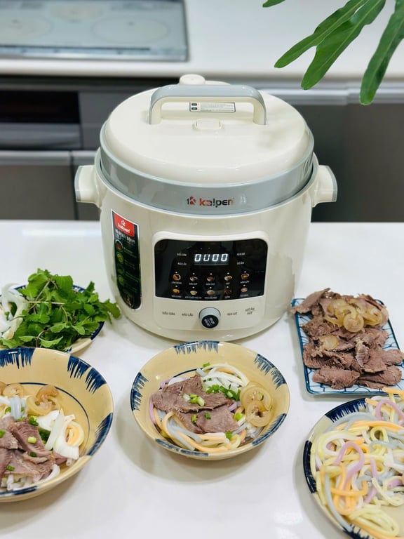 🥘 NỒI ÁP SUẤT ĐIỆN KALPEN P5 DUNG TÍCH 6L
