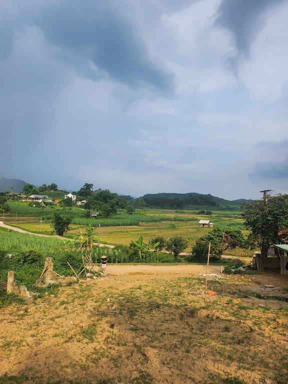 ĐẤT ĐẸP MỸ HÒA, TÂN LẠC 1500m2