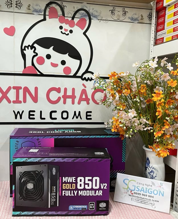 Nguồn Máy Tính Cooler Master MWE GOLD 850 - V2  850W ( 80 Plus Gold)