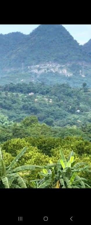 800m2-115m2 ONT tại Phú Vinh, Tân Lạc, Hoà Bình