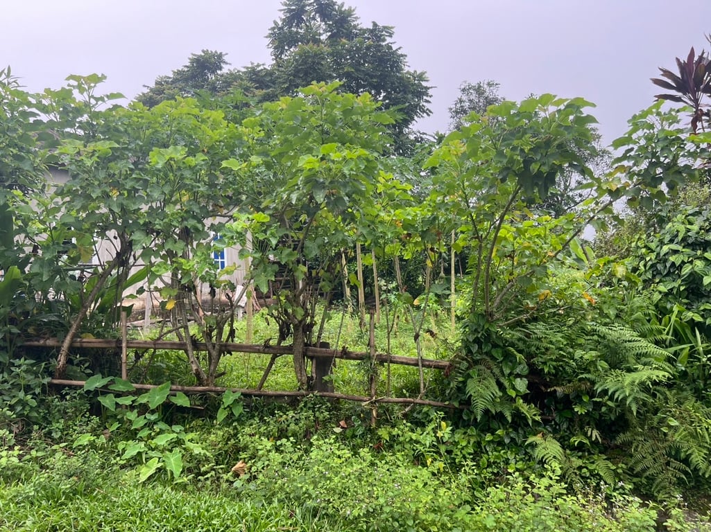 Nhân Mỹ- Tân Lạc - Hòa Bình (496m2)