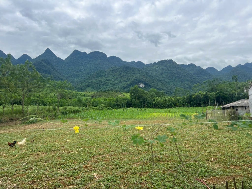 tại xã lỗ Sơn Tân Lạc hòa bình  Diện tích khoảng 400m2 có 120m2 thổ cư chỉ 2xx triệu