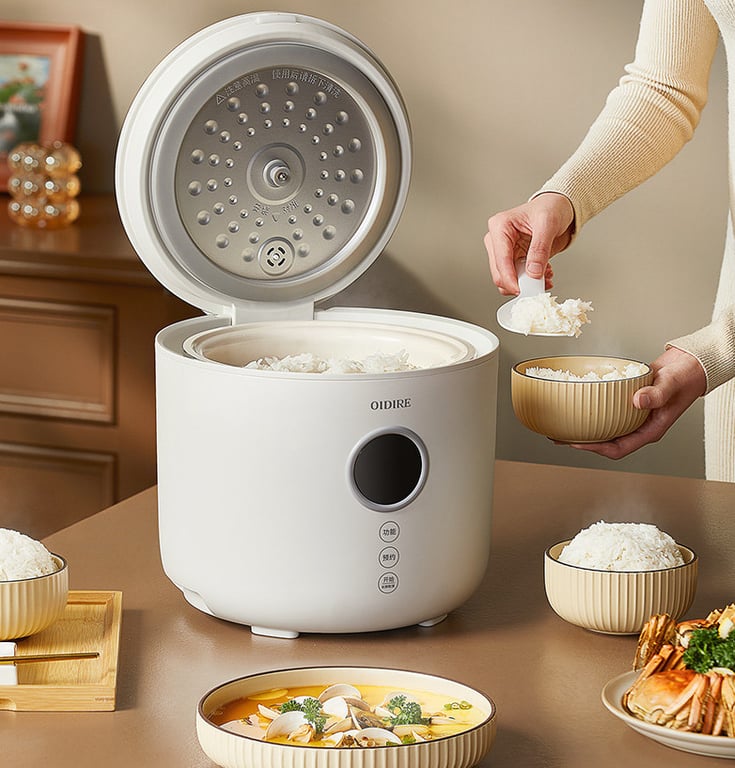 NỒI CƠM ĐIỆN OIDIRE 2L