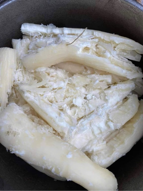 Sắn Nếp Điện Biên