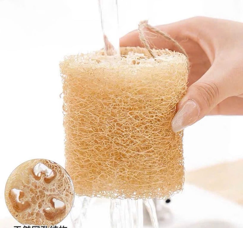 Combo 5 miếng xơ mướp khô xuất