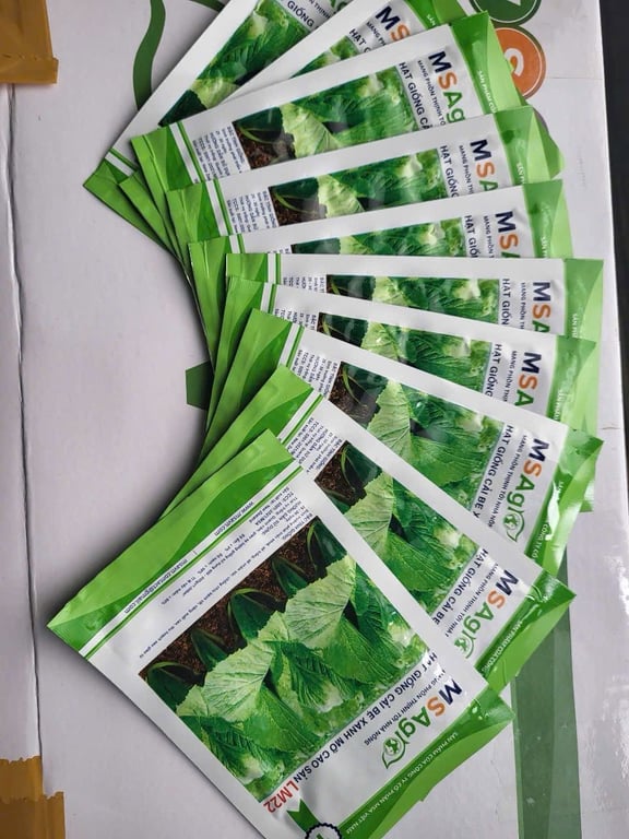 Hạt giống cải xanh mỡ gói 50gr