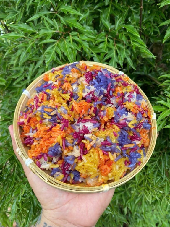 XÔI LÁ CẨM TÍM - XÔI NGŨ SẮC NẾP NƯƠNG - ĐẶC SẢN ĐIỆN BIÊN