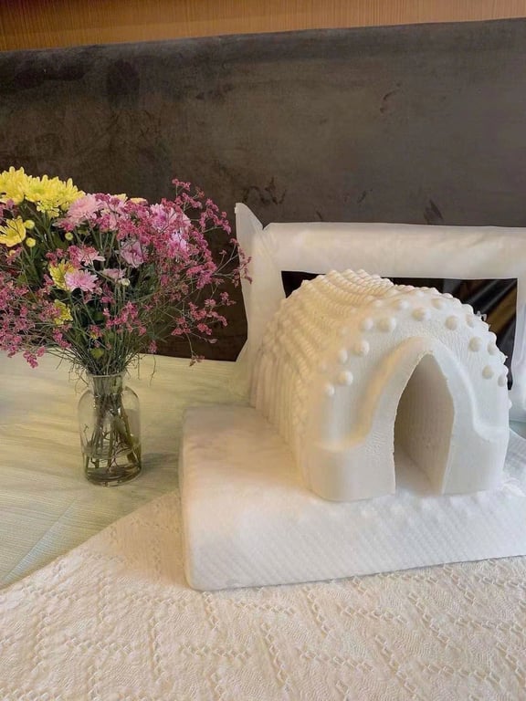 GỐI MATXA CAOSU NON  🇹🇭 Royal Natural Latex gối hạt massage chính hãngThái Lan