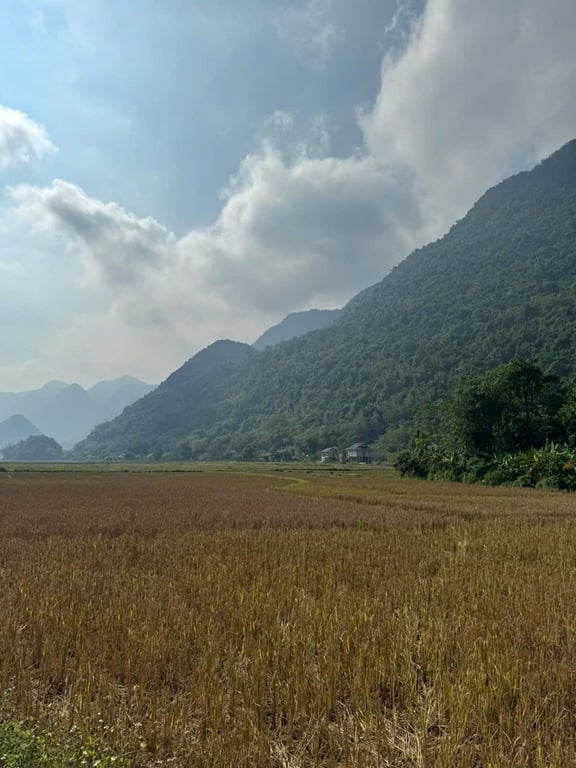 Lô đất 1527m2 có 200m2 đất ở, tại xóm Khời,Phú Cường, Tân Lạc, Hoà Bình