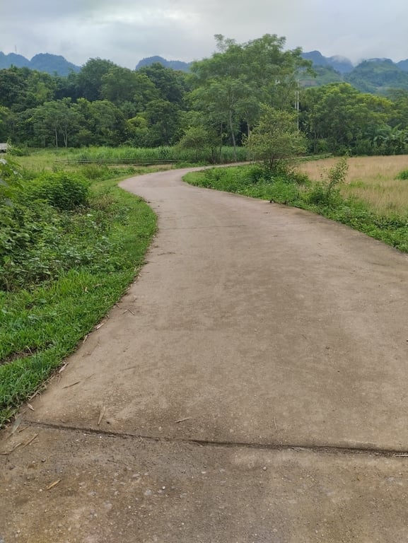 257m2 full thổ cư tại Tân Lạc, Hoà Bình