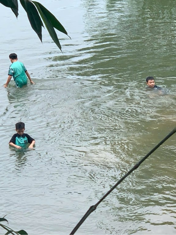 561m2 có 200m2 thổ cư tại Lỗ Sơn, Tân Lạc, Hoà Bình chỉ 4xx triệu