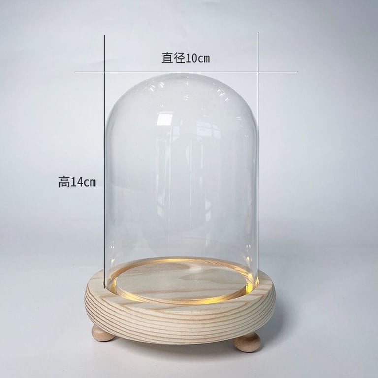 Mái vòm kính có đèn led size 12*25cm