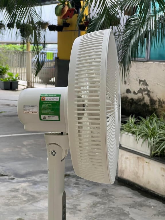 Quạt cây 7 cánh điều khiển từ xa Kaiyo Nhật 2024