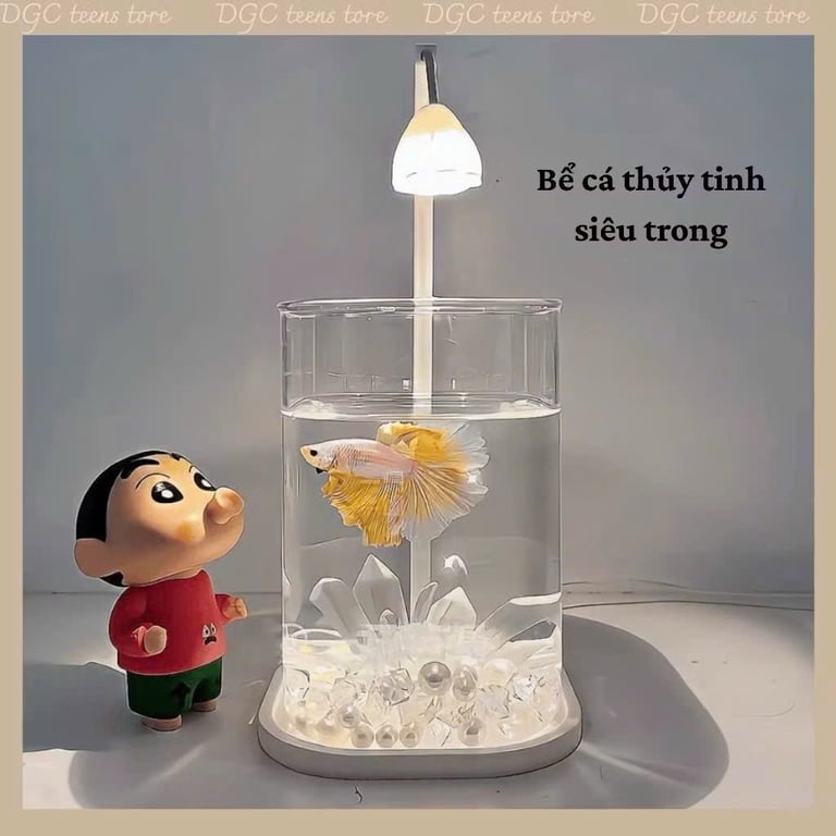 Bể cá mini để bàn