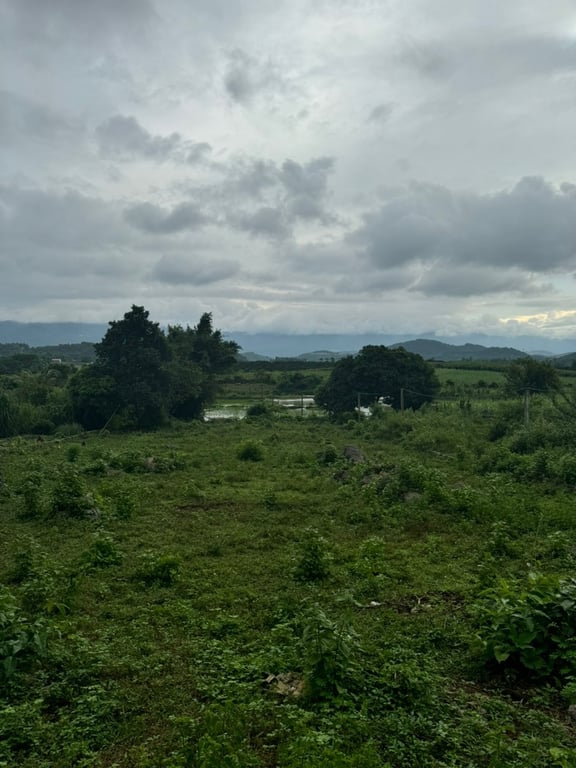 ~ 1100m2  có 60m2 ONT tại Mỹ Hoà, Tân Lạc, Hoà Bình.