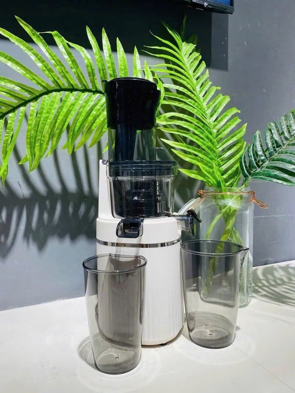 Máy ép chậm Locknlock Bianco Slow Juicer 0.8L màu trắng ngà EJJ421IVY