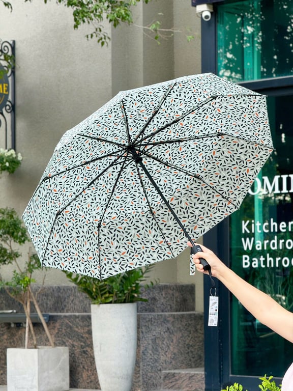 Ô siêu nhẹ gấp gọn có móc treo, ô  tự động 2 chiều 10 nan kaiyo