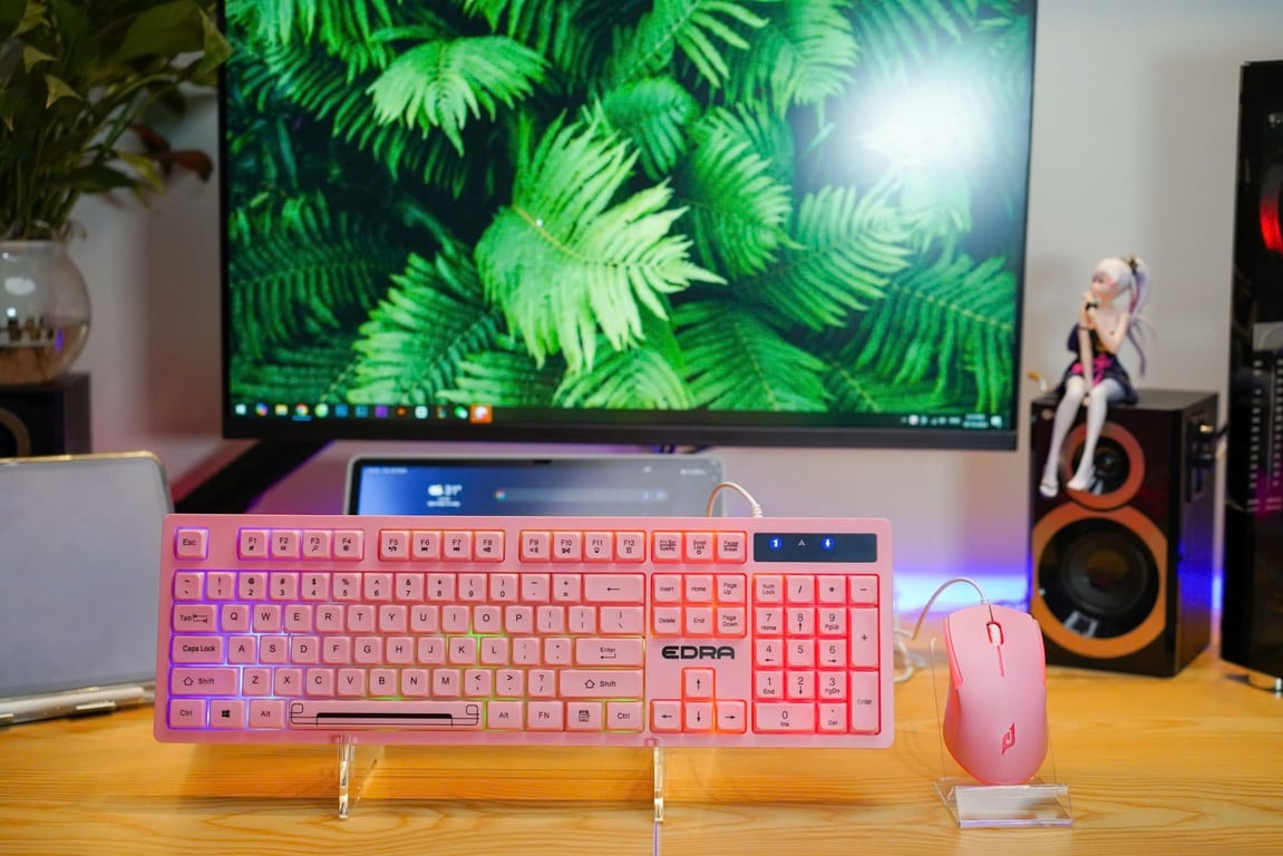 COMBO PHÍM CHUỘT GIẢ CƠ EDRA EK506/606