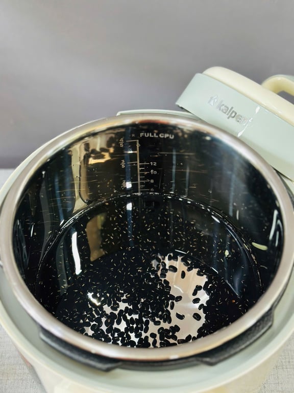 🥘 NỒI ÁP SUẤT ĐIỆN KALPEN P5 DUNG TÍCH 6L