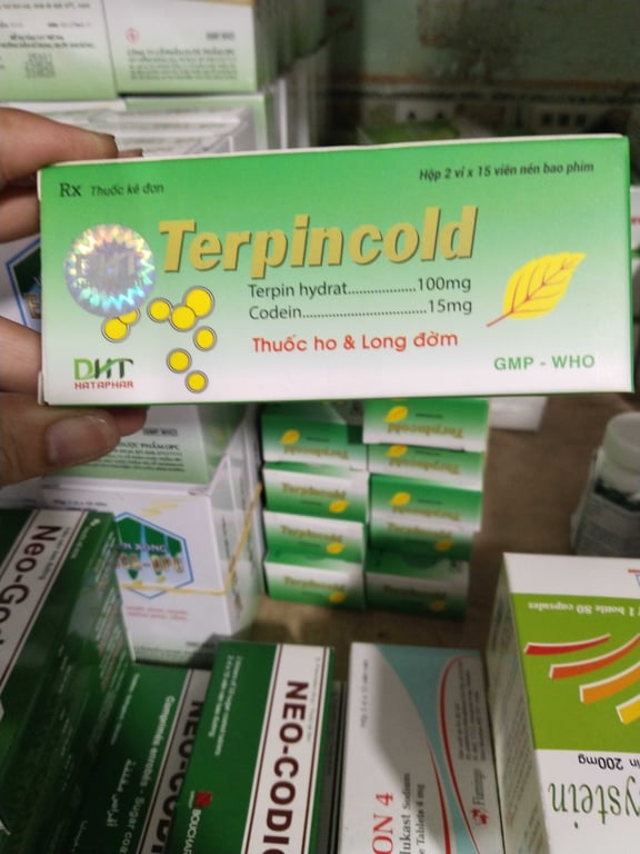 Terpincold Hà Tây h/60v