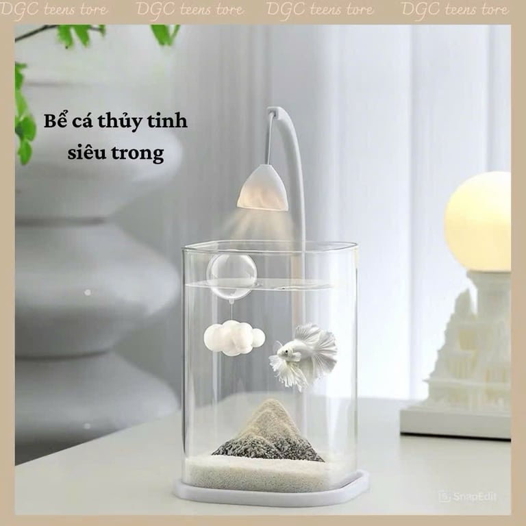 Bể cá mini để bàn