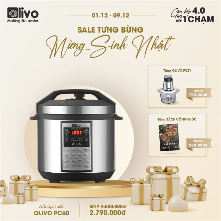 NỒI ÁP SUẤT ĐA NĂNG OLIVO PC60 6 lít